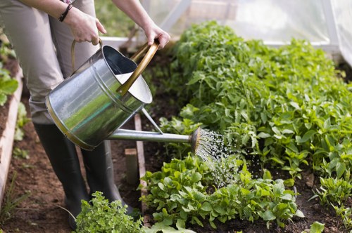 Person reading accessible gardening resource in print and on a tablet