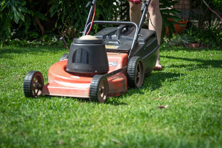 A person is operating a lawnmower on a large, well-maintained grassy area, likely part of a public park or sports field, with lush, green trees in the background under a clear blue sky. The grass appe