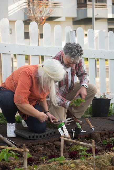 A woman and a man working together in a small garden near a white picket fence, with modern residential buildings in the background. The woman, with long white hair and wearing an orange sweater, is k